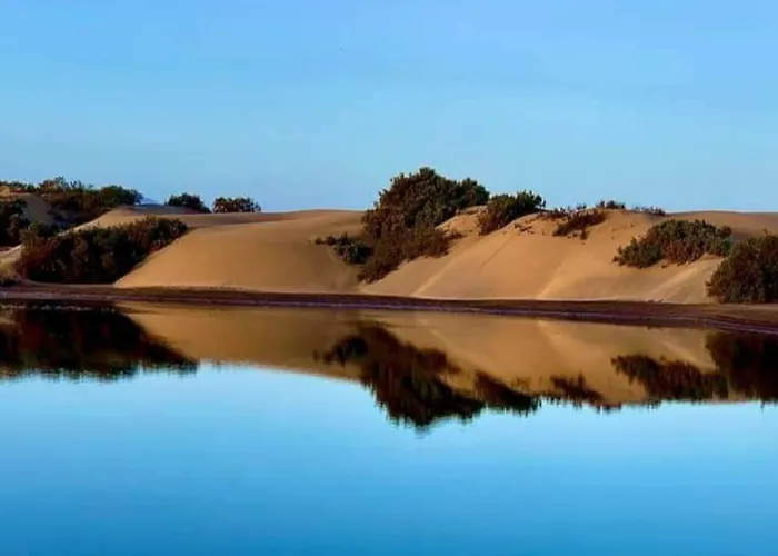 Apartment Barber Brisas Playa del Ingles (Gran Canaria)