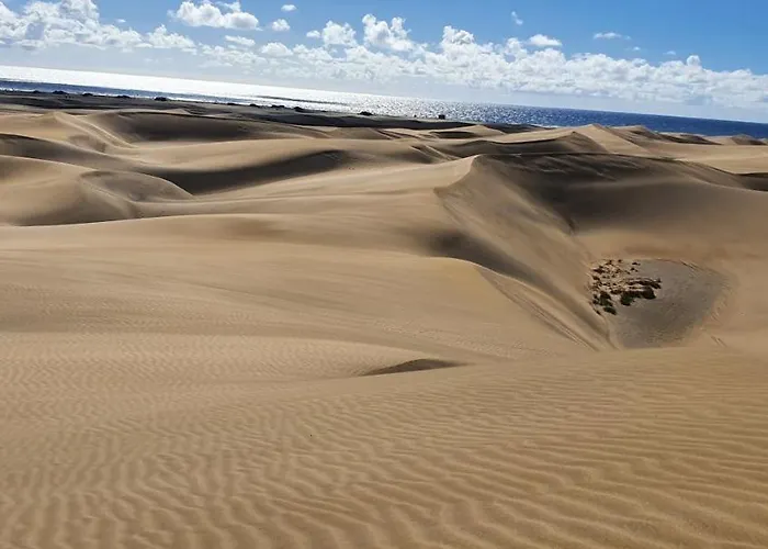 Апартаменти Barber Brisas *