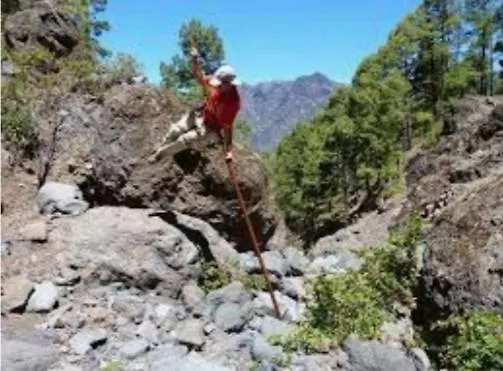 Barber Brisas Апартаменти