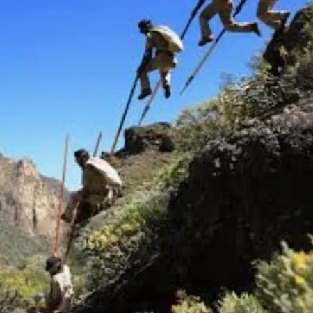 Barber Brisas Appartement