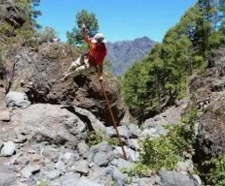 Barber Brisas Appartement